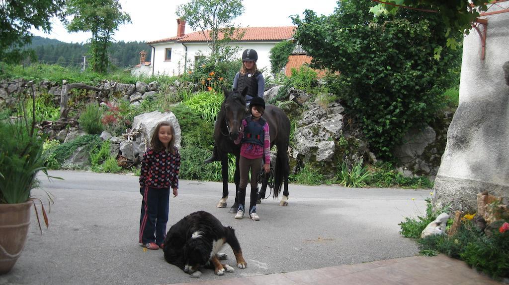 Tourist Farm Dujceva Domacija Villa Vremski Britof Eksteriør billede
